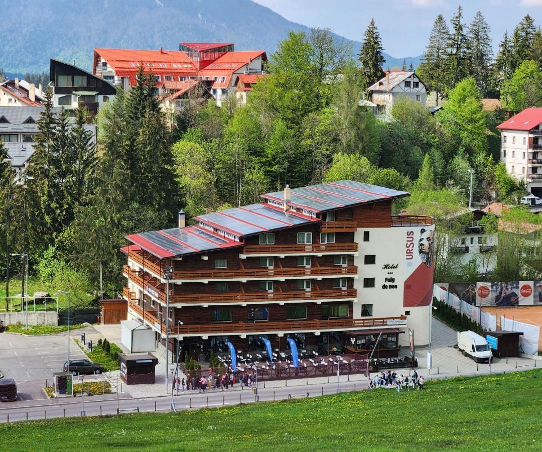 Cabana Fulg De Nea Predeal Bagian luar foto