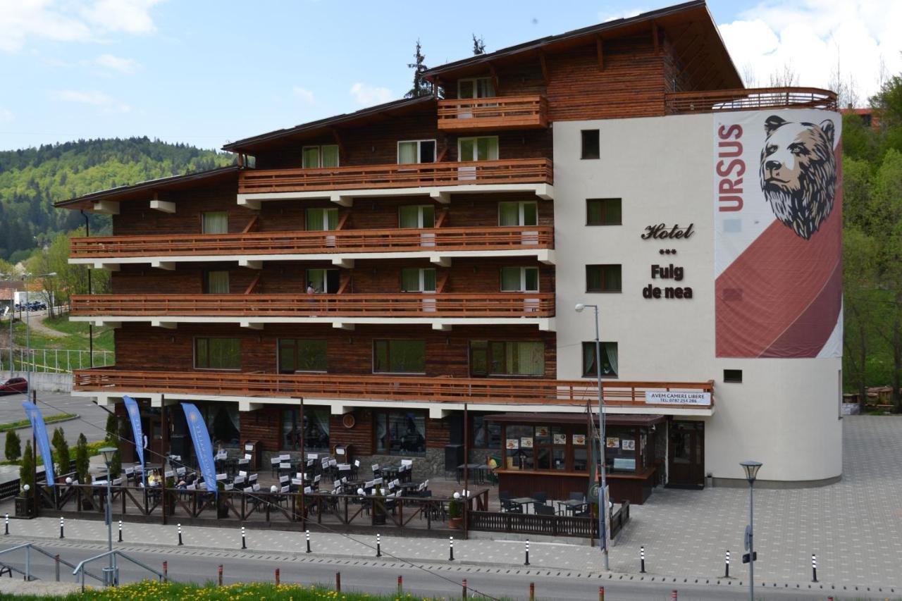 Cabana Fulg De Nea Predeal Bagian luar foto